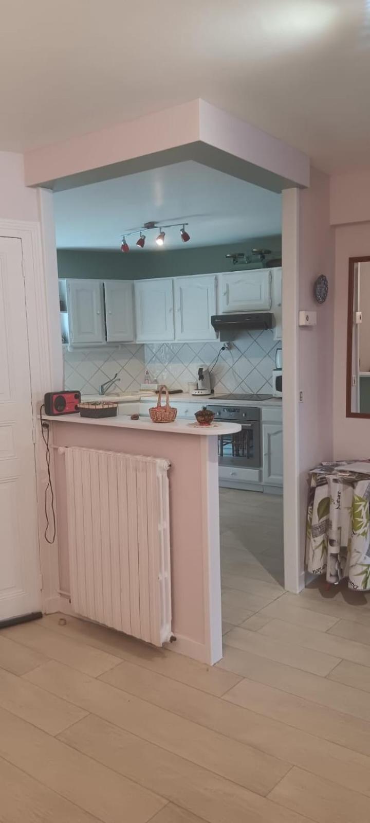 Appartement 120 M² Duplex Coeur Historique Au Calme Le Puy-en-Velay ภายนอก รูปภาพ